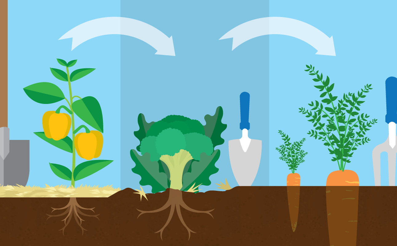 The importance of soil rotation