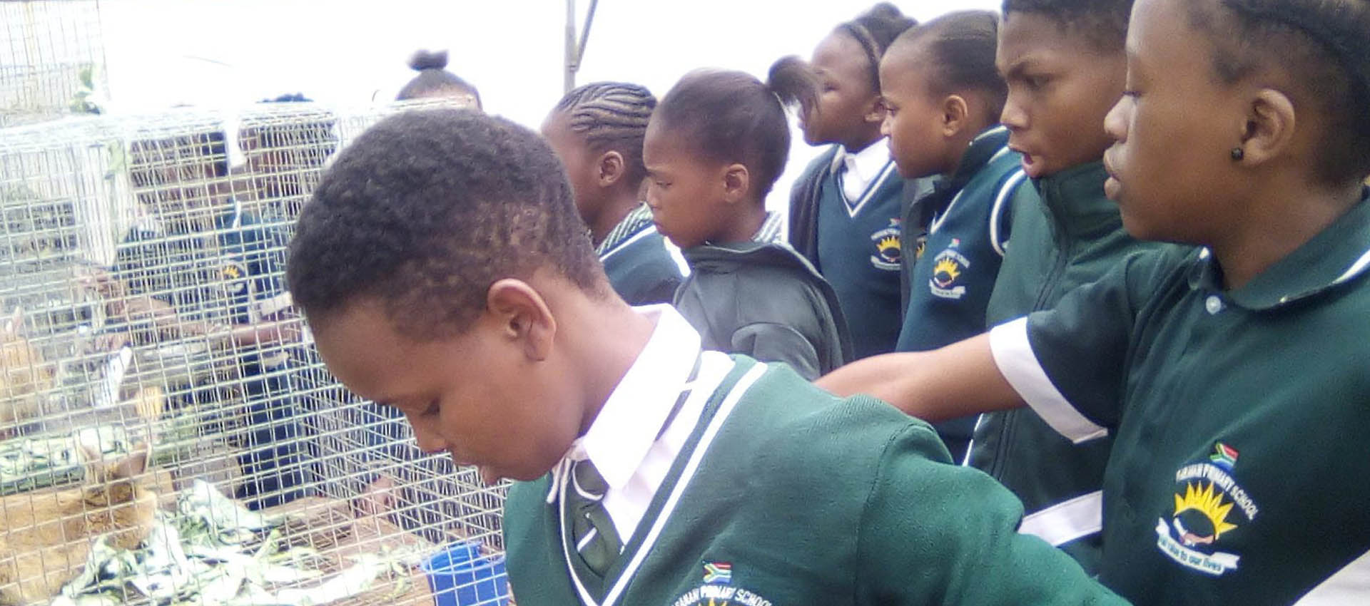 School Learners at Farm