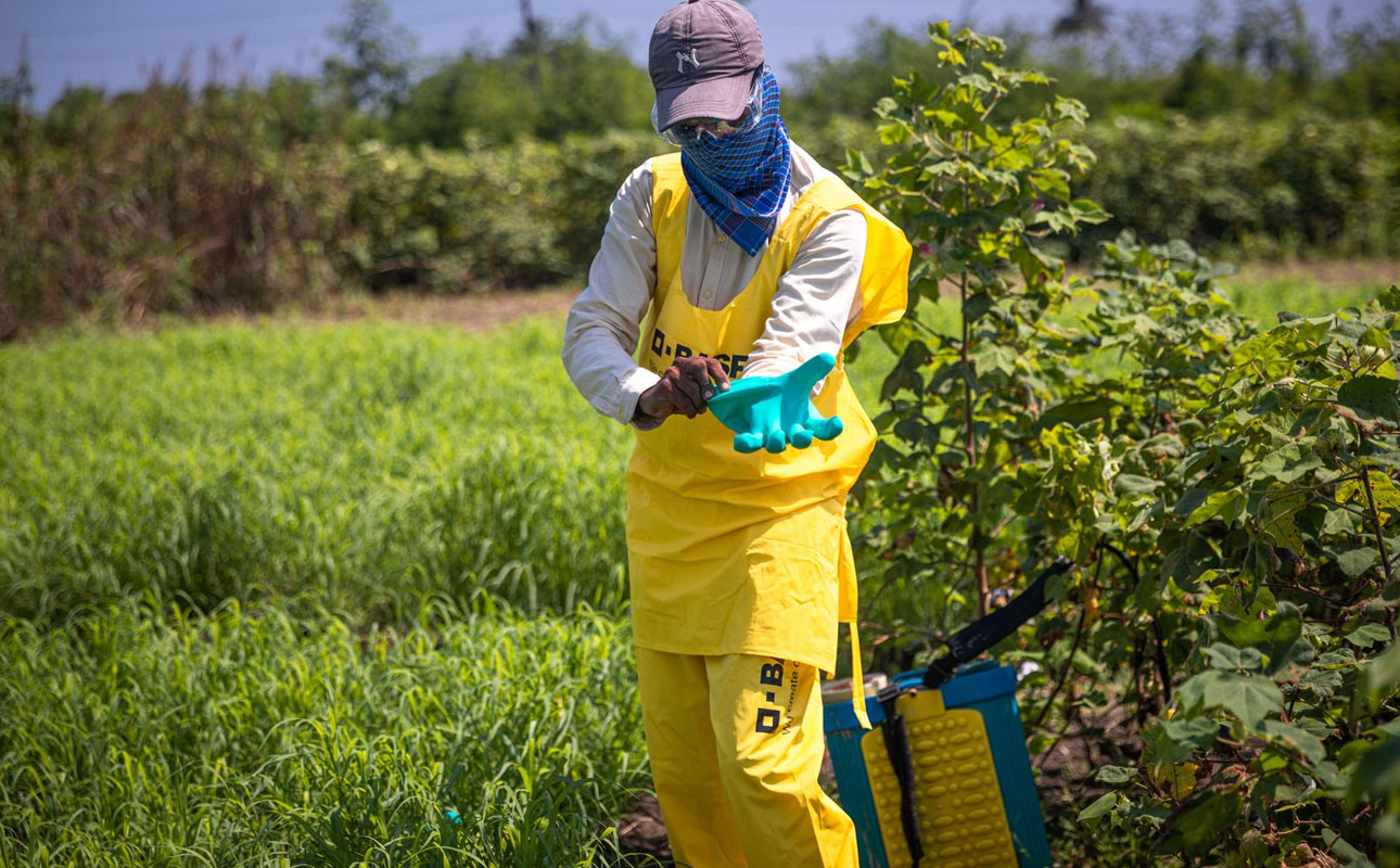 Learn about pesticides